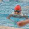 035National2015