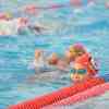 048National2015